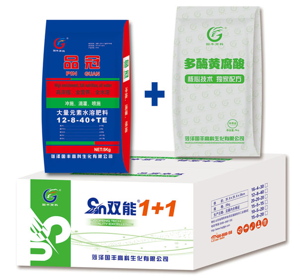 雙能1+1