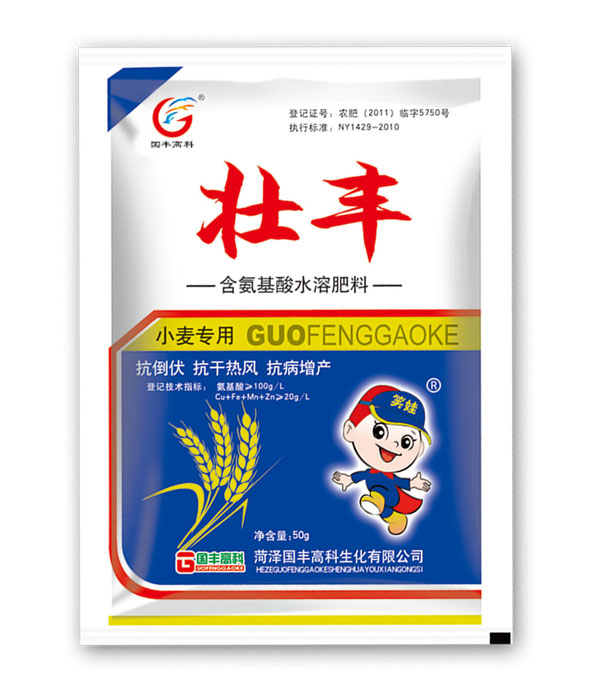 壯豐